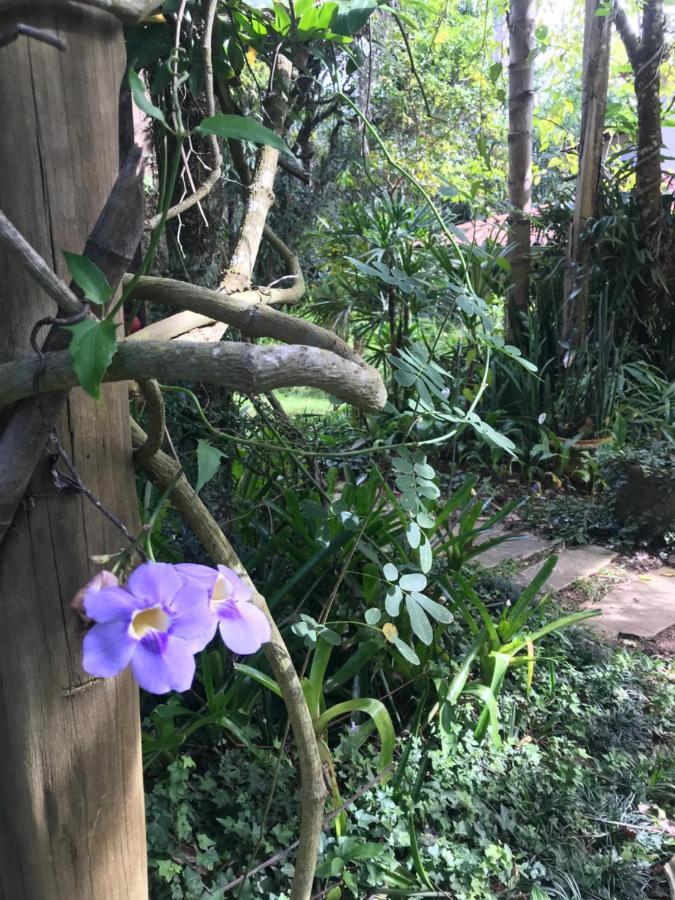 Pousada Flor De Iris São João del Rei المظهر الخارجي الصورة