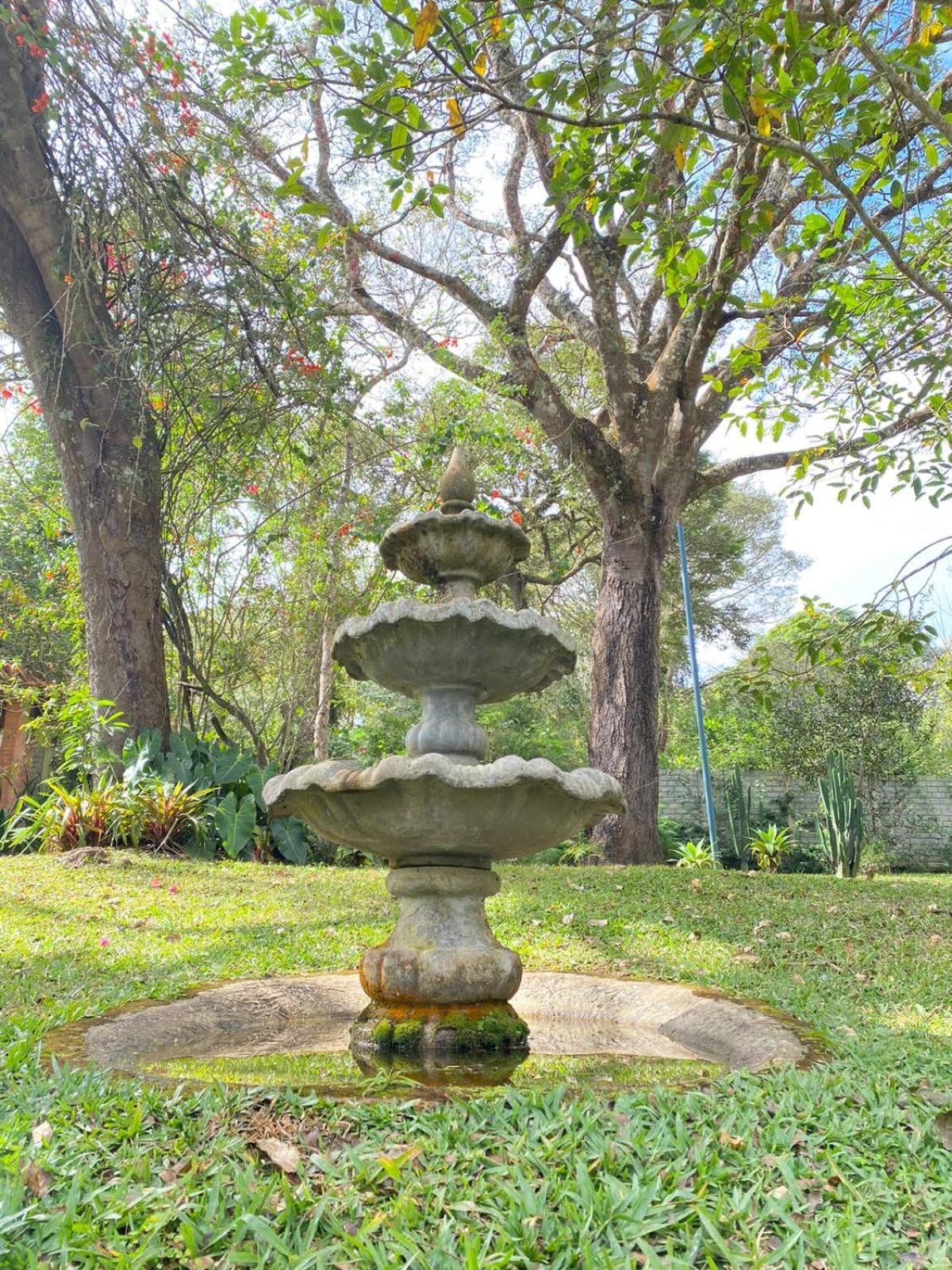 Pousada Flor De Iris São João del Rei المظهر الخارجي الصورة